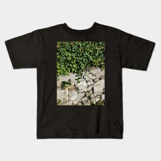 Ivy and Stone Kids T-Shirt